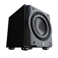 Perlisten Audio R8s Subwoofer