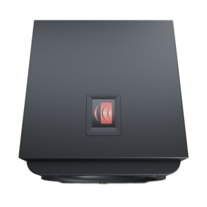 Perlisten Audio R8s Subwoofer
