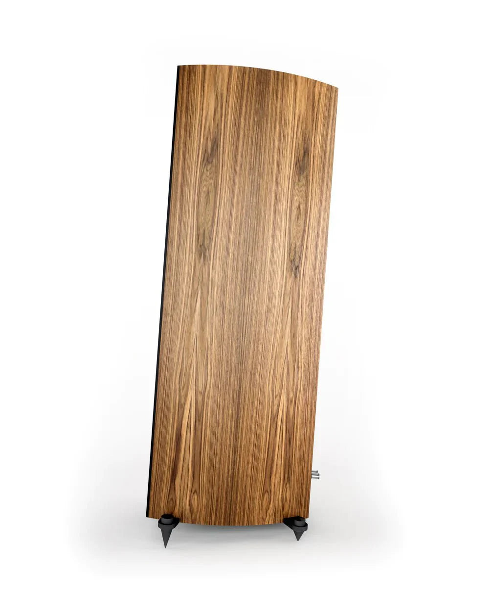 Acoustic Energy Corinium Floorstanding Speaker (Pair) - Dreamedia AV