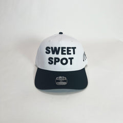 Dreamedia Sweet Spot Baseball Hat for Home Theater & Audio Lovers - Dreamedia AV