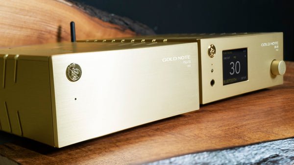 Gold Note DS-10 EVO Line Streaming DAC - Dreamedia AV