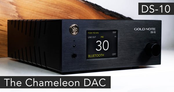 Gold Note DS-10 EVO Line Streaming DAC - Dreamedia AV