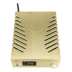 Gold Note DS-10 EVO Line Streaming DAC - Dreamedia AV