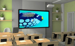 Stewart Filmscreen WallScreen 2.5 16:9 (HD) Fixed-Frame Projector Screen - Dreamedia AV