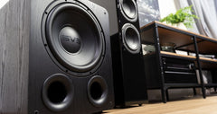 SVS PB-1000 Pro Subwoofer - Dreamedia AV