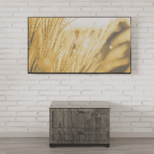 Aegis Cabinets Prometheus Middle Southern Farm Collection
