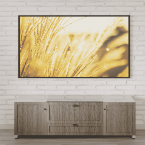 Aegis Cabinets Apollo Wide Southern Farm Collection