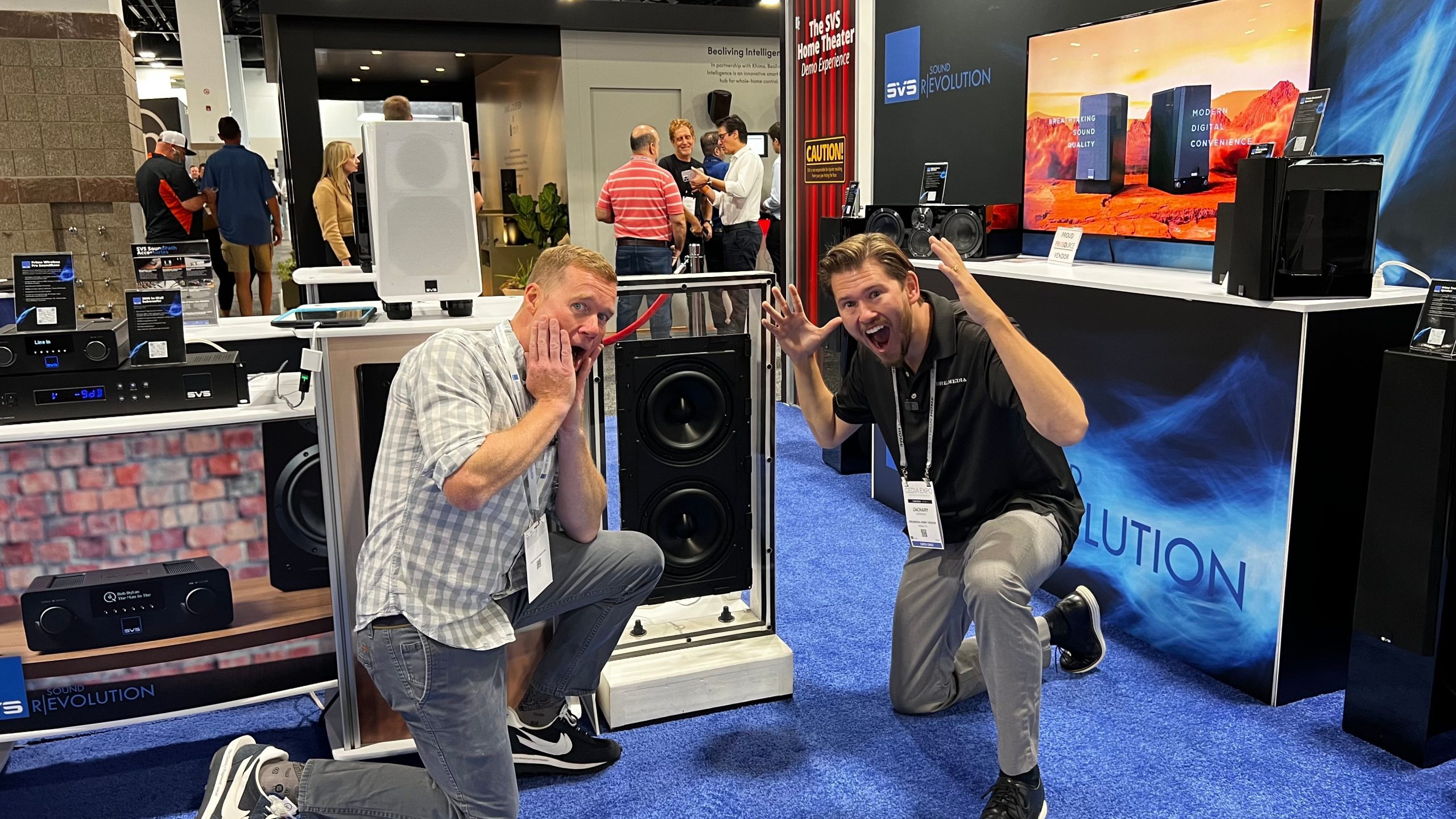 SVS Sound 3000 In-wall Subwoofer System - Dual 9" Subwoofer - Image 5