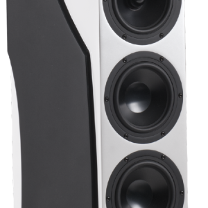 RBH Sound UNRIVALED 6500/AX Freestanding Tower speaker (External DSP + Amp)
