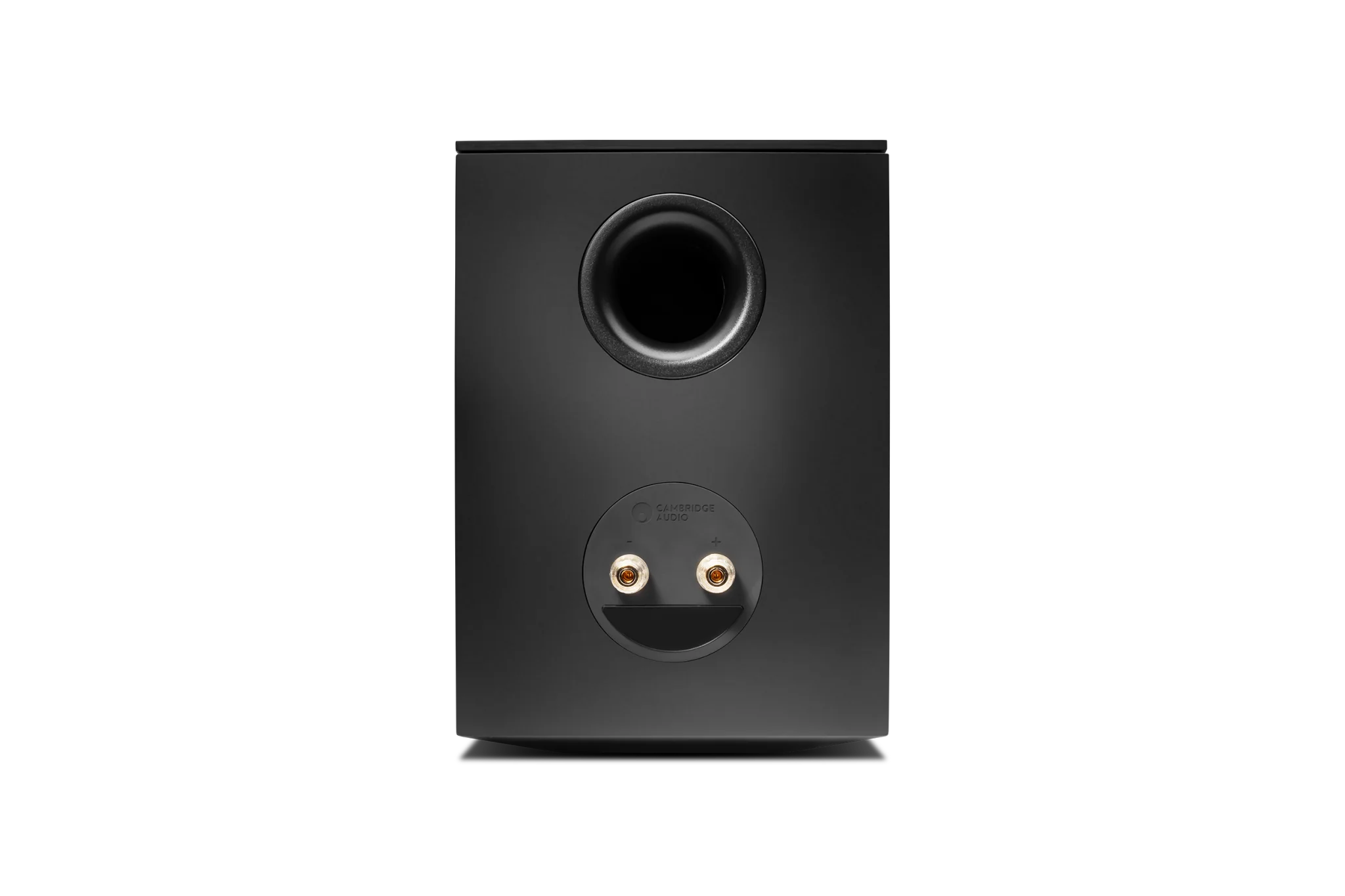 Cambridge Audio EVO S Bookshelf Speakers - Dreamedia AV