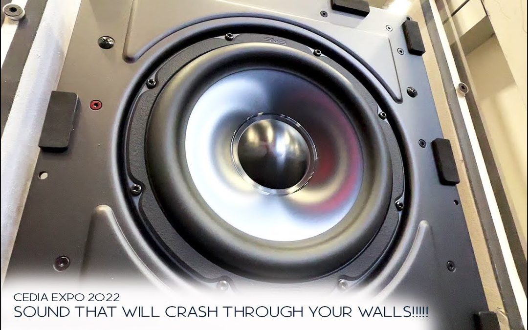 -New- SVS 3000 In Wall Dual 9” Subwoofer & DEMO! This HIT HARD!