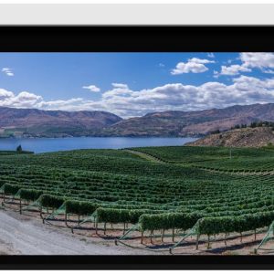 Stewart Filmscreen Cima BC 16:9 (HD) Retractable Below Ceiling Projector - Dreamedia AV