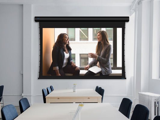 Stewart Filmscreen Luxus 16:9 (HD) Retractable Below Ceiling Projector Screen - Dreamedia AV