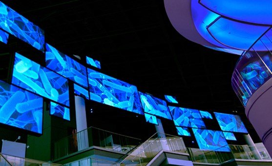 Stewart Filmscreen WallScreen Deluxe 16:10 (Presentation) Fixed-Frame Projector Screen - Dreamedia AV