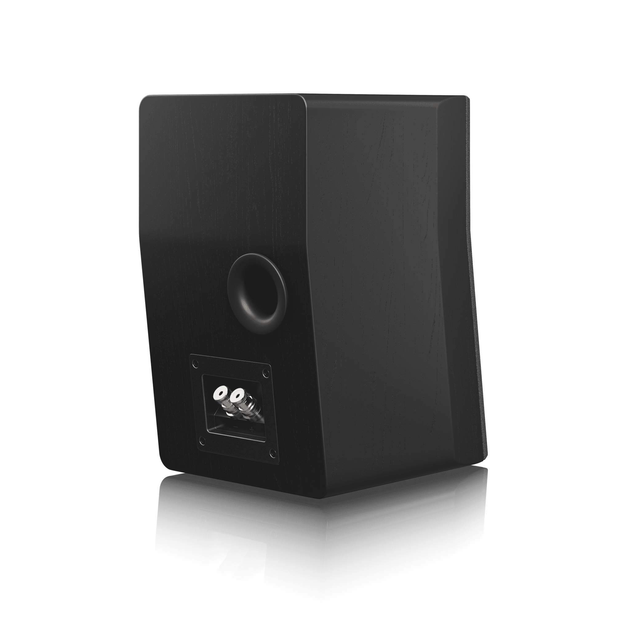 SVS Ultra Evolution Nano Speaker - Dreamedia AV