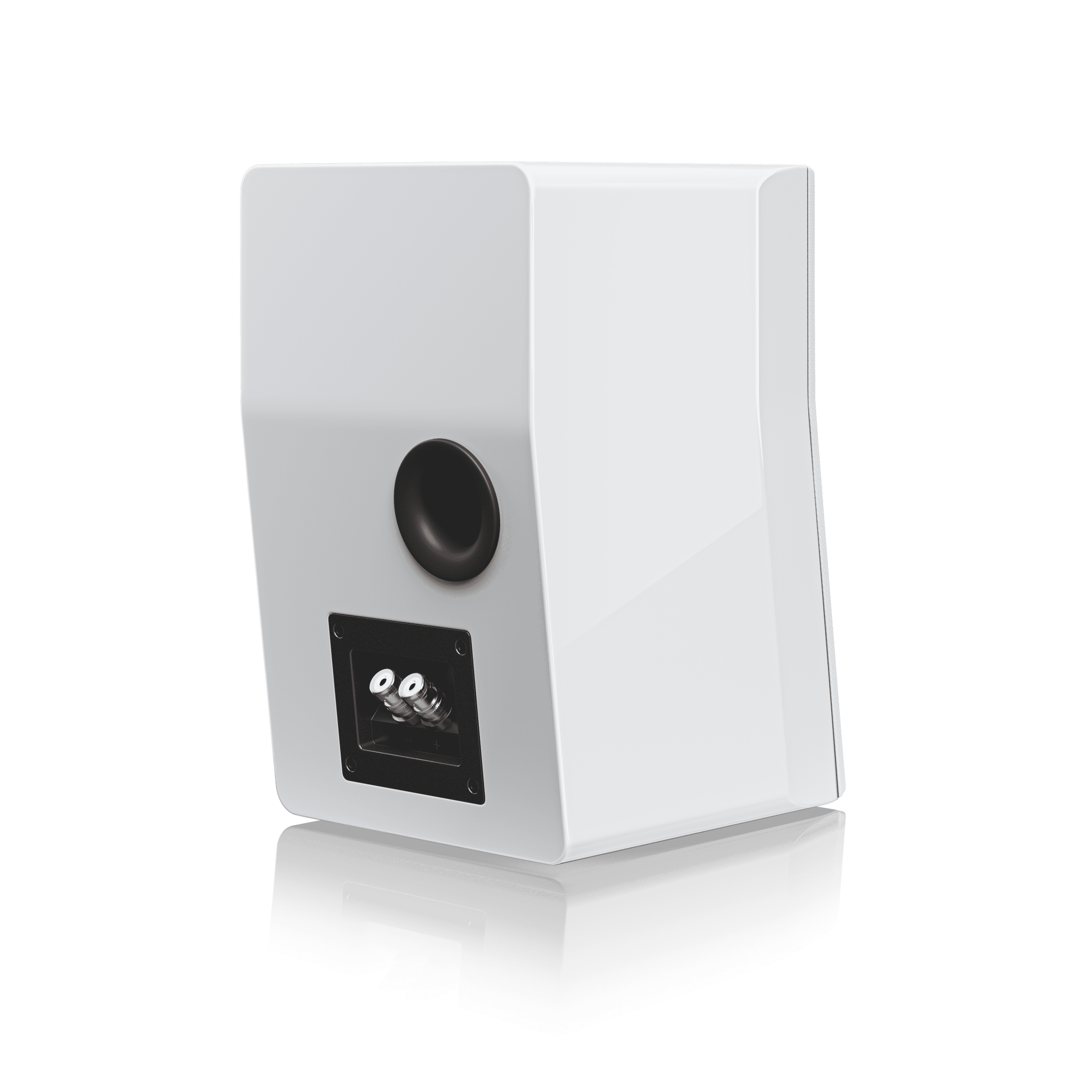 SVS Ultra Evolution Nano Speaker - Dreamedia AV