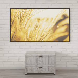 Aegis Cabinets Apollo Middle Southern Farm Collection 1