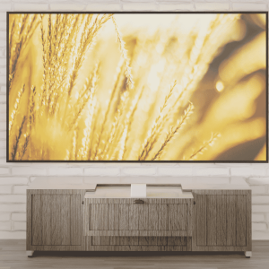 Aegis Cabinets Artemis Wide - Southern Farm Collection 1