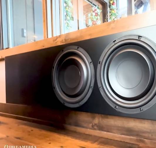 RBH 12-SW On-Wall Subwoofer