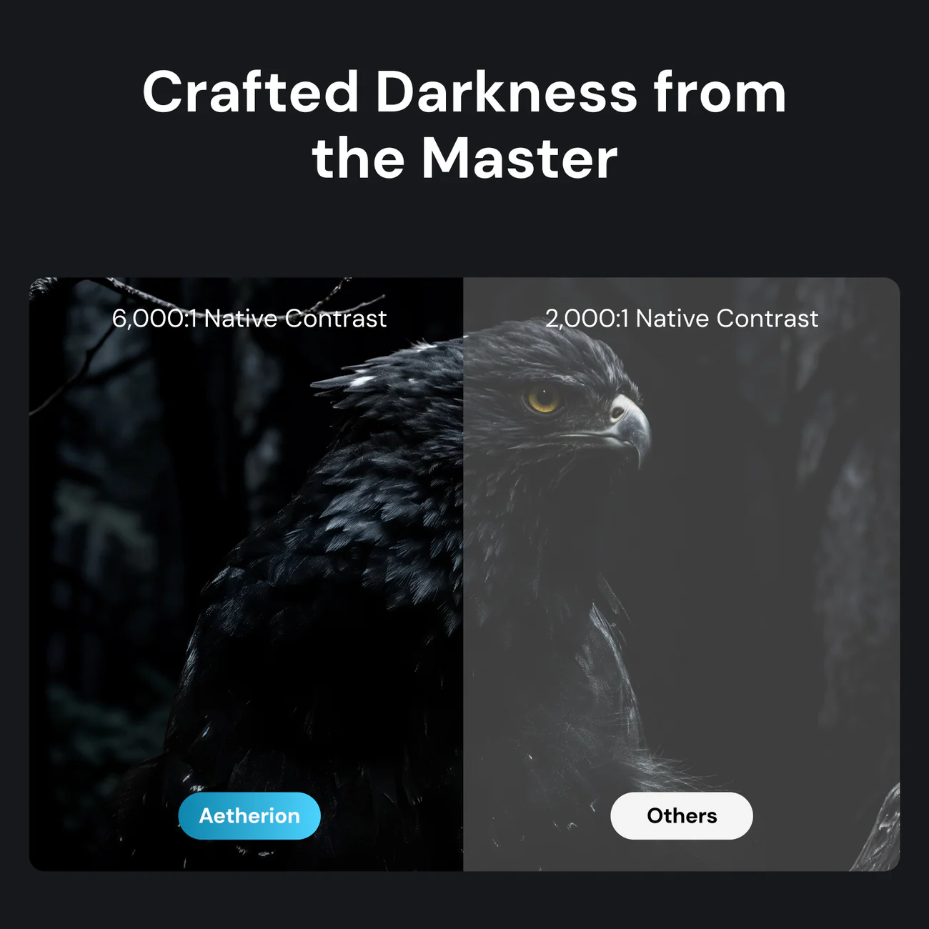 Comparison of native contrast levels showcasing Aetherion's superior 6,000:1 contrast against other displays at 2,000:1.