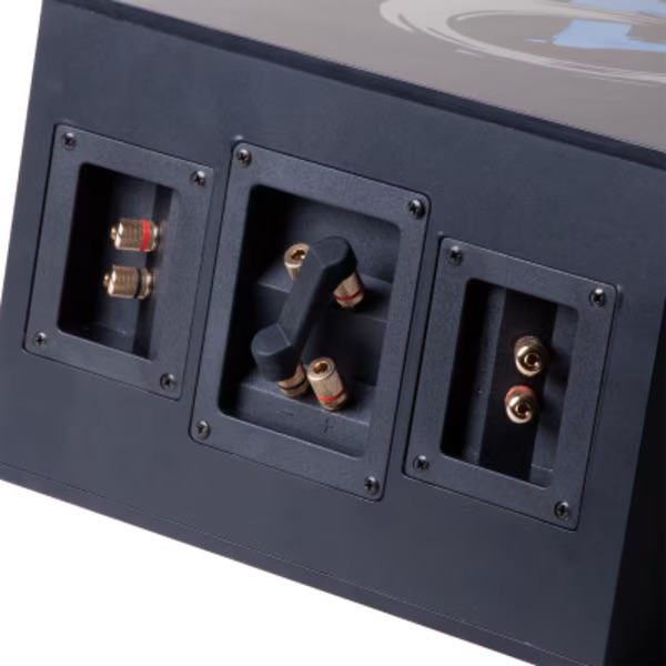 Close-up of a high-quality home theater amplifier's rear connections and terminals for optimal audio setup.