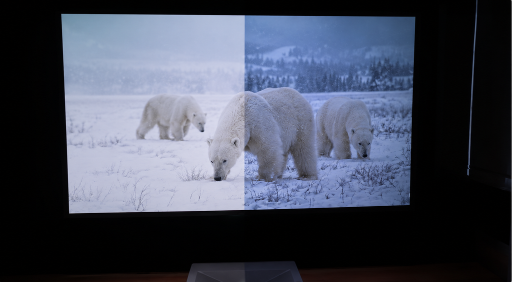 AWOL Vision LTV-2500 Polar Bear Picture Quality Comparison