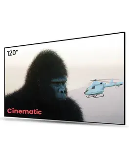 AWOL Vision 100&amp;#8221;-150&amp;#8221; ALR Cinematic Wall Mounted Screens