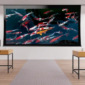 Stewart Filmscreen Cascade G2 Retractable Screens - Dreamedia AV