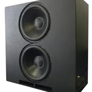High-performance subwoofer with dual drivers, ideal for enhancing audio in luxury home theater setups.