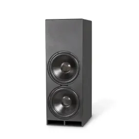 High-performance black speaker cabinet featuring dual woofers, ideal for enhancing home theater sound quality.