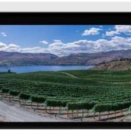 Stewart Filmscreen Cima BC 16:10 (Presentation) Retractable Below Ceiling Projector - Dreamedia AV