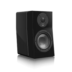 SVS Ultra Evolution Nano Speaker - Dreamedia AV