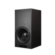 Compact black speaker designed for home audio systems, featuring a large woofer for enhanced sound performance.