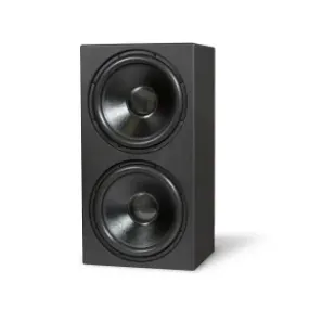 Powerful dual-driver speaker in a sleek black cabinet, ideal for enhancing home theater sound quality.