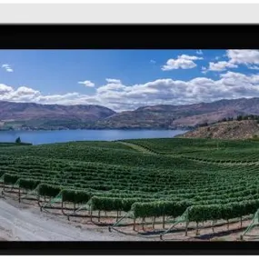 Stewart Filmscreen Cima BC 16:10 (Presentation) Retractable Below Ceiling Projector - Dreamedia AV